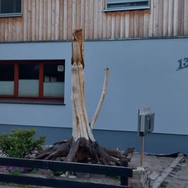 Hauswand
